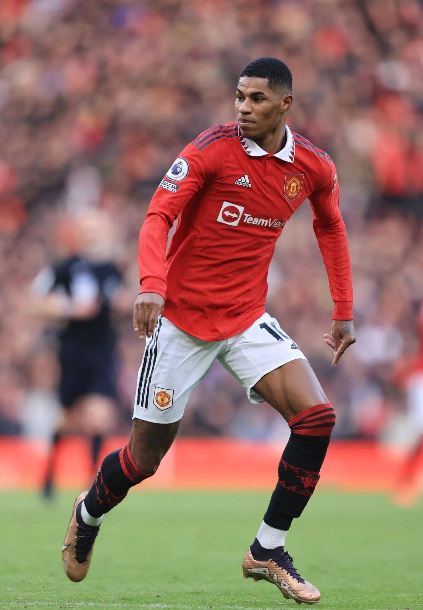 五连胜的背 五连胜的背