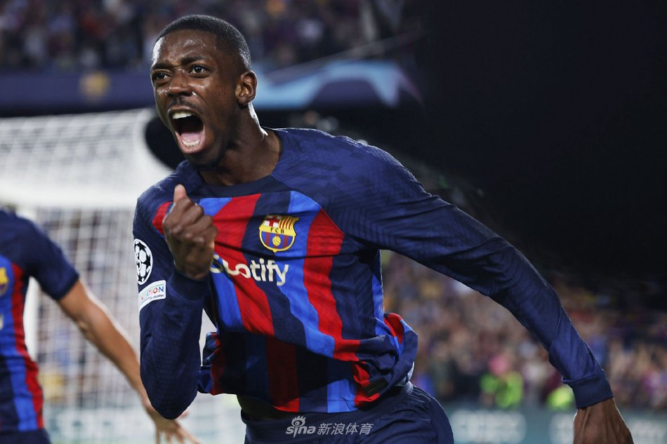 的荷兰队 的荷兰队